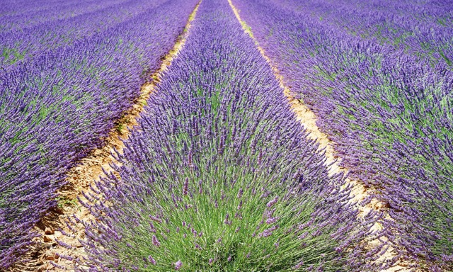 Coaching et accompagnement spirituel