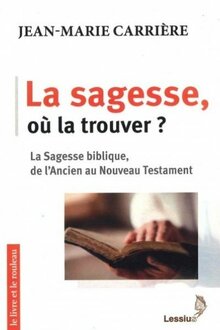 La sagesse, où la trouver ? de Jean-Marie Carrière