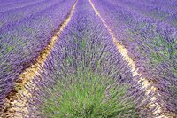 Coaching et accompagnement spirituel