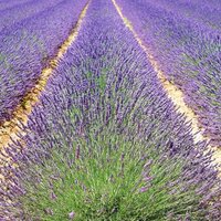 Coaching et accompagnement spirituel
